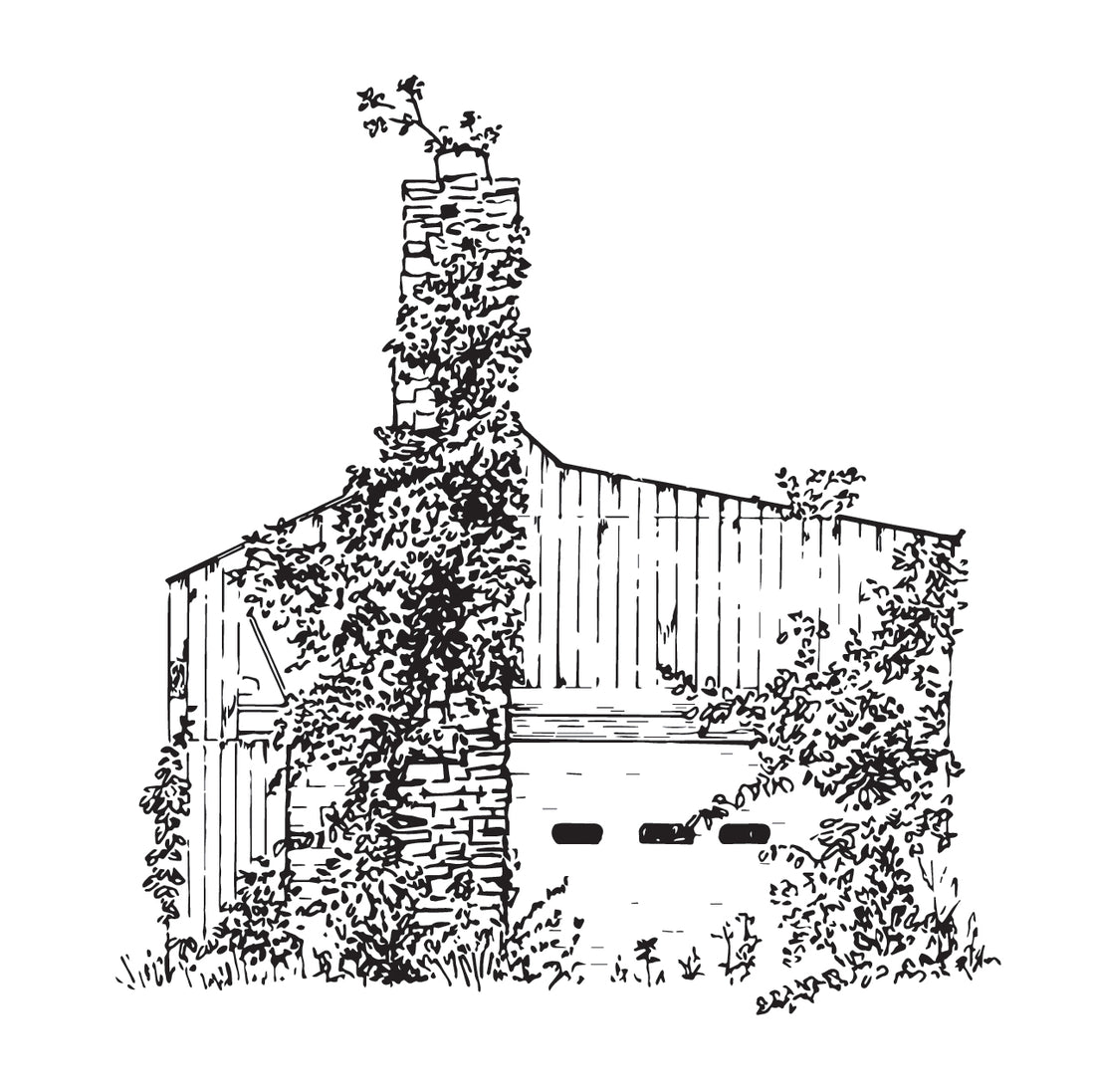 Drawing of an old barn with ivy growing on it