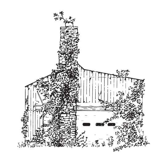 Drawing of an old barn with ivy growing on it